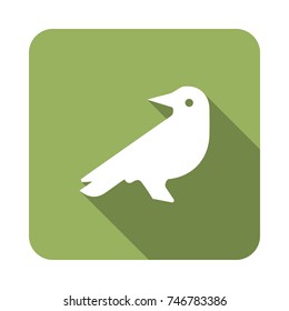   crow icon