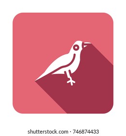   crow icon