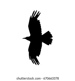 The crow icon. Bird and flight, eagle symbol. Flat Vector illustration