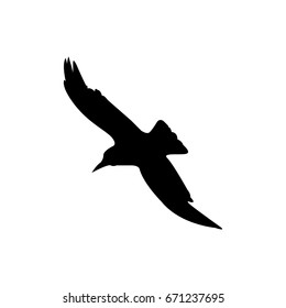 The crow icon. Bird and flight, eagle symbol. Flat Vector illustration