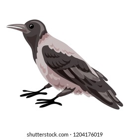 Crow icon. Cartoon of crow vector icon for web design isolated on white background