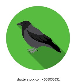 Crow icon in flat style isolated on white background. Bird symbol stock vector illustration.