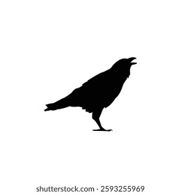 Crow icon illustration, Crow Silhouette