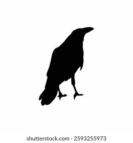 Crow icon illustration, Crow Silhouette