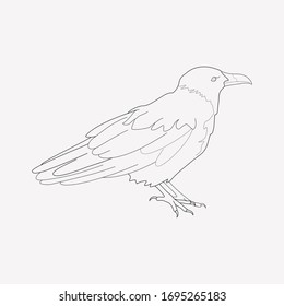 Crow icon line element. Vector illustration of crow icon line isolated on clean background for your web mobile app logo design.