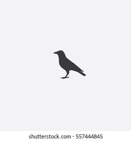 Crow icon silhouette vector illustration

