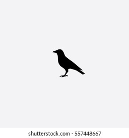 Crow icon silhouette vector illustration

