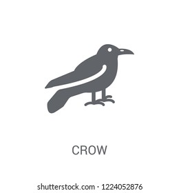 Crow icon. Trendy Crow logo concept on white background from animals collection. Suitable for use on web apps, mobile apps and print media.