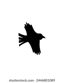 crow icon, vector best flat icon.