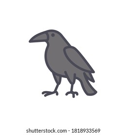 Crow icon for wildlife, spooky,  horror, and halloween element etc.