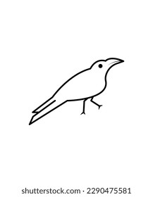 crow icon,vector best line icon.