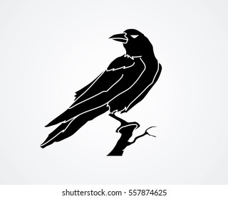 Crow illustration graphic vector.