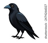 a crow illustration on white
