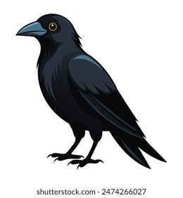 a crow illustration on white