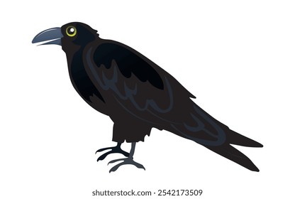 a crow illustration on white, vector illustration.