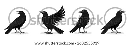 Crow illustrations, each depicted in a different pose or angle. The crows are uniformly dark colour, showcasing various common avian behaviors and positions.