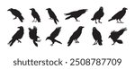 Crow isolated black silhouette set. Crows, raven halloween Dark birds icon clipart. Vector illustration