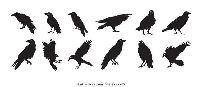 Krähe einzeln auf schwarzem Silhouettensatz. Krähen, Raben halloween Dunkle Vögel Symbol clipart. Vektorgrafik