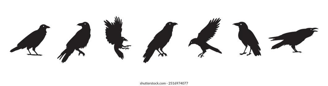 Crow isolated black silhouette set. Crows, raven halloween Dark birds icon clipart. Vector illustration