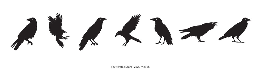 Crow isolated black silhouette set. Crows, raven halloween Dark birds icon clipart. Vector illustration