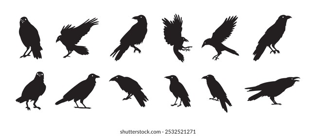 Crow isolated black silhouette set. Crows, raven halloween Dark birds icon clipart. Vector illustration