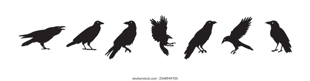 Crow isolated black silhouette set. Crows, raven halloween Dark birds icon clipart. Vector illustration