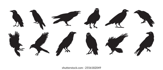 Crow isolated black silhouette set. Crows, raven halloween Dark birds icon clipart. Vector illustration