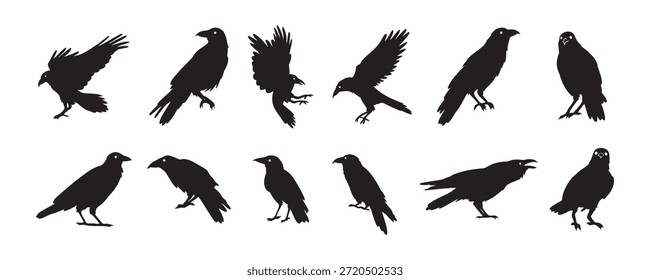 Conjunto de silueta negra aislada de cuervo. Cuervos, cuervo halloween Clipart de iconos de pájaros oscuros. Ilustración vectorial