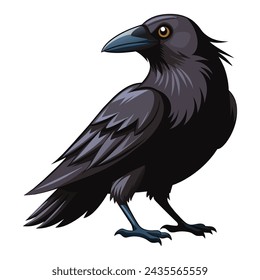 Crow isolated illustration on white background