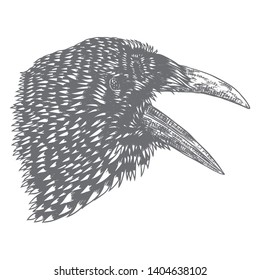 Crow isolated on white. Hand drawn art sketch. Black Raven head. Bird on white background. Witchcraft magic, occult attribute decorative element. Vector.