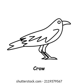 Crow Line Art Illustration Animal Vector
