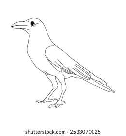 Projeto vetorial de arte em linha de galo. Design de ilustração de contorno de galinha