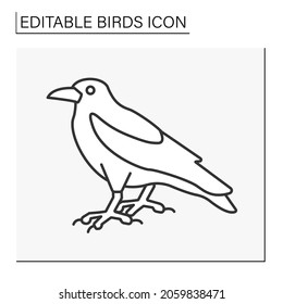  Crow Line Icon. Large Bird With Glossy Black Plumage, Heavy Bill, And A Raucous Voice.Birds Concept. Isolated Vector Illustration. Editable Stroke