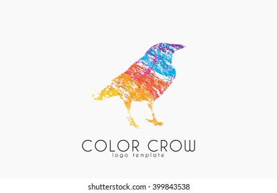 Crow logo. Color crow logo. Bird logo