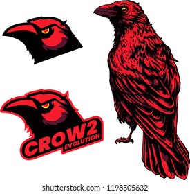 Crow Logo And Illustration