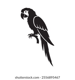 Crow Logo template Isolated. Brand Identity. Icon Abstract Vector graphic
