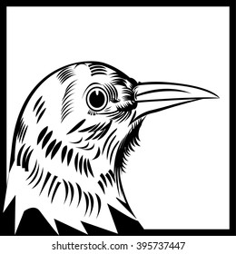 Crow,
Crow is a Omnivorous Birds,     All elements are in separate layers color can be changed easily.   