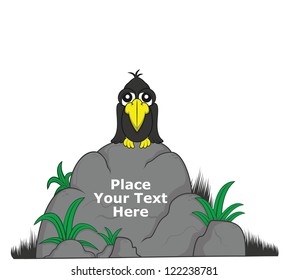 crow on big rock for message