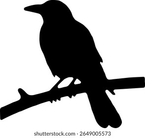 Corvo em Branch Silhueta Vetor Pássaro Preto Clipart no fundo branco
