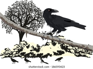 The crow on the brunch