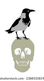 Crow on human head skull vector illustration isolated on white background. Black bird raven stand on human skull. Halloween nightmare graveyard horror scene. Spooky animal.