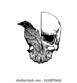 Crow on skull isolated on white. Hand drawn vector art. Sketch vector illustration. Vector vintage illustration. tattoo design.
