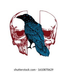 Crow on skull isolated on white. Hand drawn vector art. Sketch vector illustration. Vector vintage illustration. tattoo design.