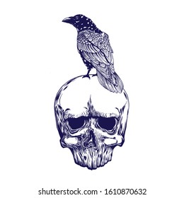 Crow on skull isolated on white. Hand drawn vector art. Sketch vector illustration. Vector vintage illustration. tattoo design.
