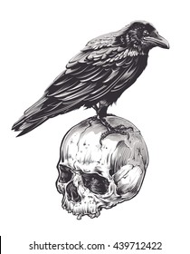 Crow on skull isolated on white. Hand drawn vector art. Sketch vector illustration.