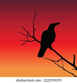 
Crow on the tree, sunset light background