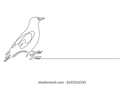 crow one continuous line drawing