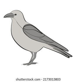 Crow one line drawing on white isolated background. Vector illustration