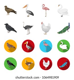 Crow, ostrich, chicken, peacock. Birds set collection icons in cartoon,flat style vector symbol stock illustration web.