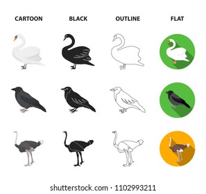 Crow, ostrich, chicken, peacock. Birds set collection icons in cartoon,black,outline,flat style vector symbol stock illustration web.